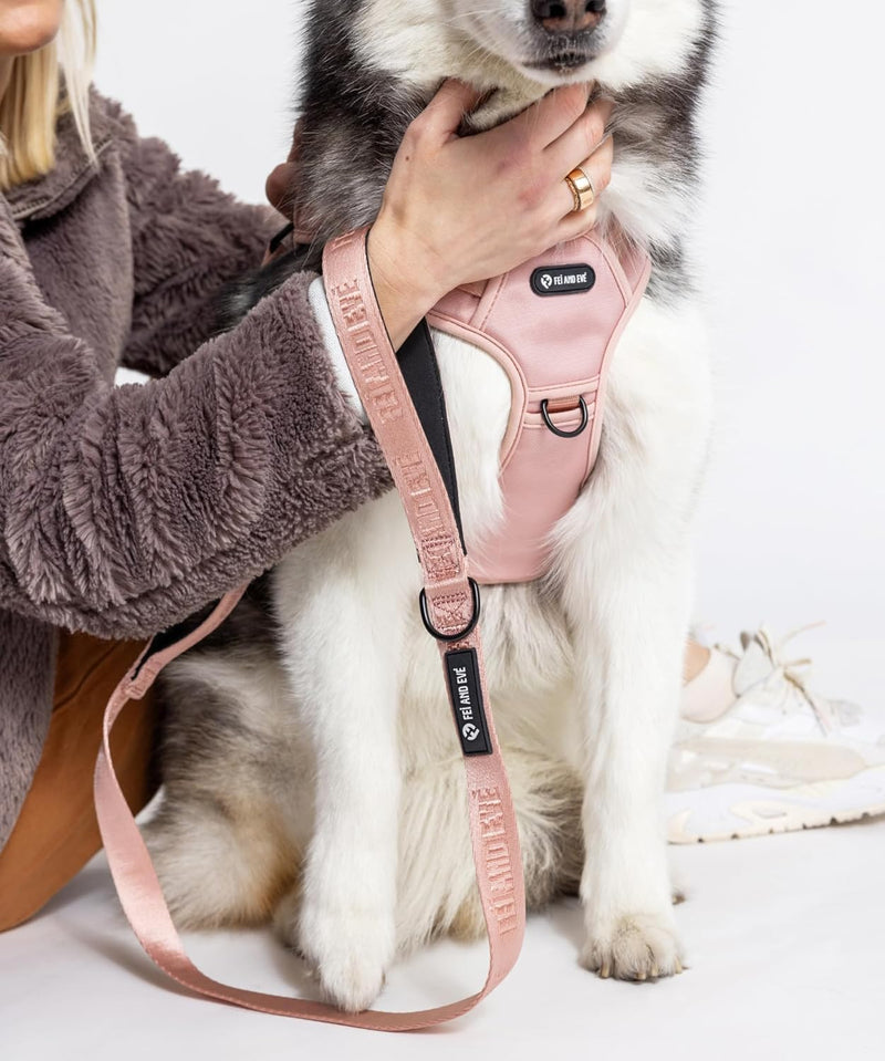 2026 New Edition, Fei & Eve MagEase Dog Harness - 3-Second Magnetic Buckles | 3-Point No-Pull Control | Heavy-Duty 900D Nylon | Dual Safety Handles | Breathable Mesh | Adjustable Fit | X-Large, Pink XL - PawsPlanet Australia