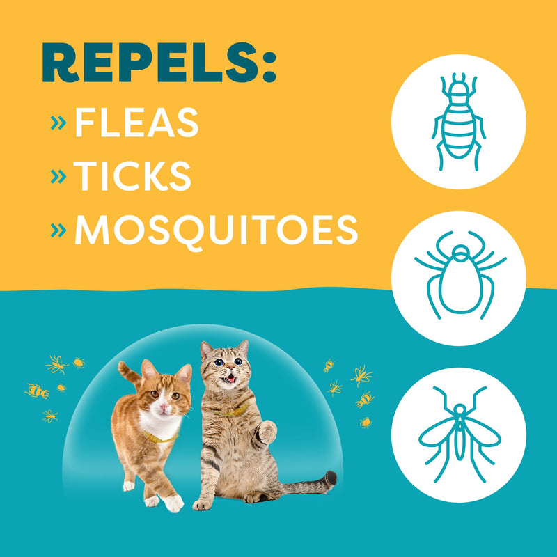 Only Natural Pet EasyDefense Flea & Tick Cat Collar - Feline Flea Collars Biting Insect Control - Pet Care That Protects up to 4 Months - for Cats (2 Pack) 2 Pack - PawsPlanet Australia