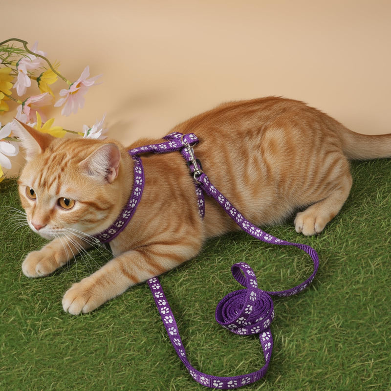 Cat Harness and Leash with Collar Set, Escape Proof Adjustable H-Shped Cat Harness Cats Belt Walking Travel Kitten Harnesss, Adjustable Kitten Harnesss for Small Medium Cats - PawsPlanet Australia
