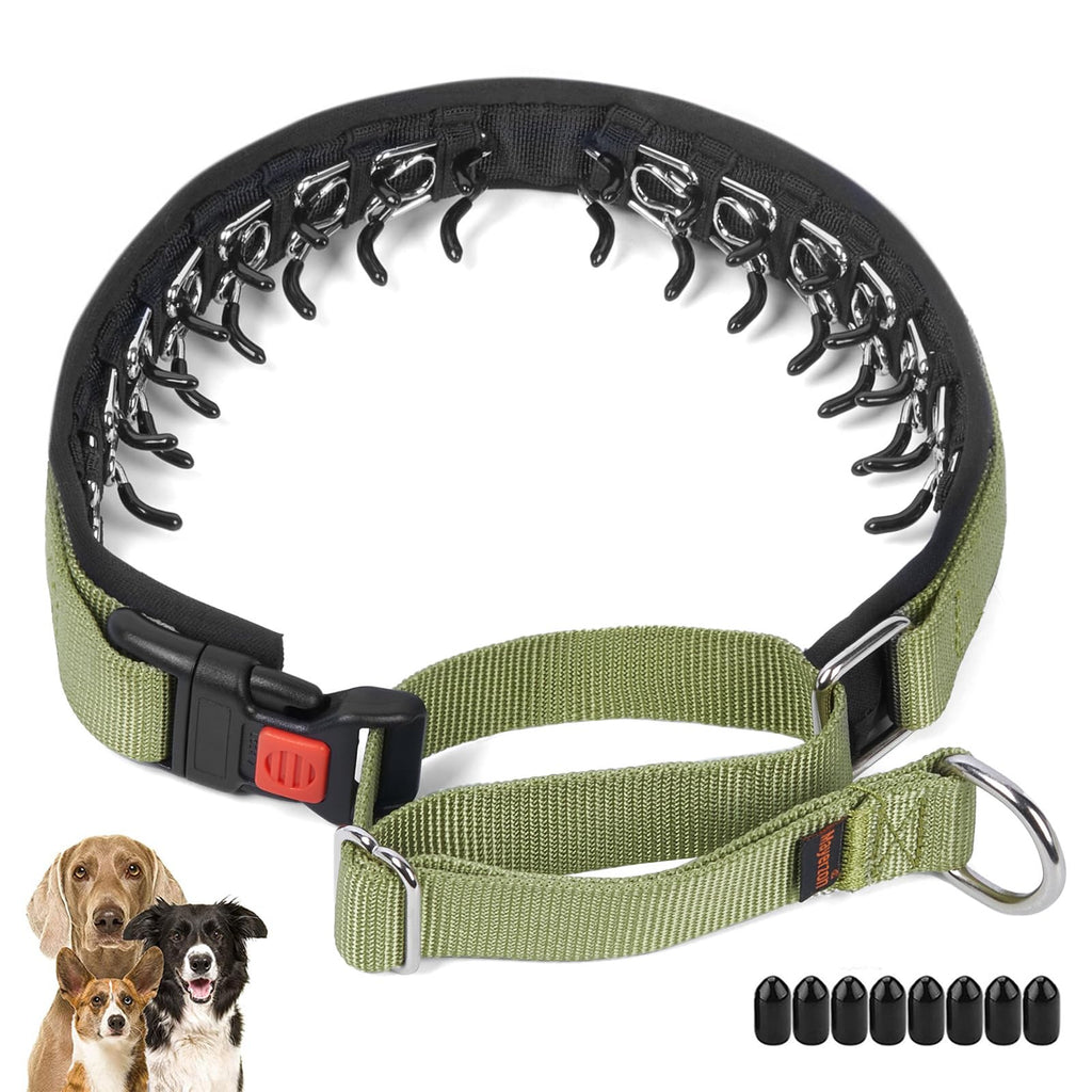 Mayerzon No Pull Dog Collar, Martingale Collar for Small Medium Large Dogs, Dog Anti Pull Collar with Buckle and Heavy Duty Nylon for Walking Training Hunting, Safe and Easy to Use Medium,2.5mm,20-Inch,14.5-18.5"Neck Green