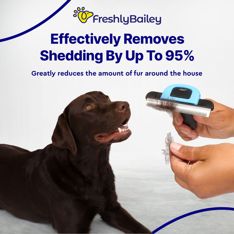 Deshedding Tool For Short Hair - Self Cleaning Slicker Brush - Pet Comb For Cats and Dogs - PawsPlanet Australia