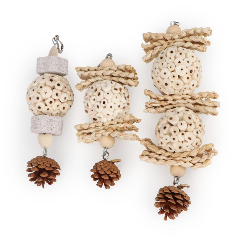 Wontee Bird Toys 3 Pack Parrot Foraging Hanging Toys Sola Ball Natural Nuts Chew Toys for Cockatiels Conures Parakeets Budgies Senegal (3 Pack) - PawsPlanet Australia