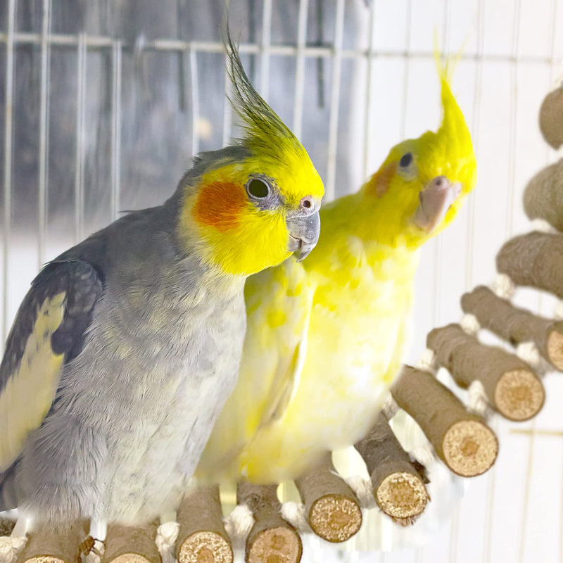 SIMENA Bird Cage Ladder, Parrot Bridge Made of Natural Wood and Rope, Interactive Bird Toy for Small and Medium Sized Birds and Parrots, Parakeets, Cockatiels, Amazon Parrots, Conures etc. Swing Ladder with Rope - PawsPlanet Australia