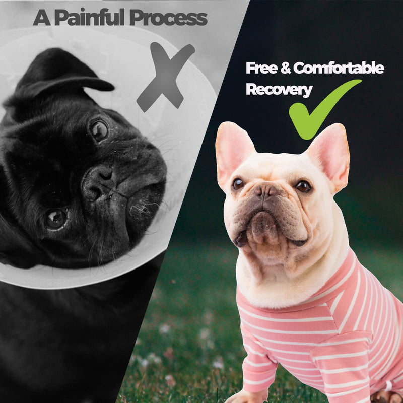 Dog Surgery Recovery Suit - Puppy Cat Onesie for Shedding Skin Disease Wound Protection, Medical Pet Surgical Suit w/Long Sleeve, Dog Pajamas (Pink, Medium) PINK - PawsPlanet Australia
