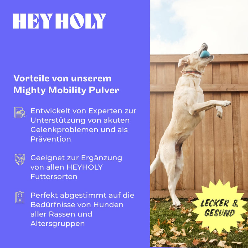 HEY HOLY Premium Joint Powder Dogs Mighty Mobility Green-Lipped Mussel Dog Joint & Bone Protection for Dogs 200 g Supports Joint Pain & Preventive Alternative to Joint Tablets