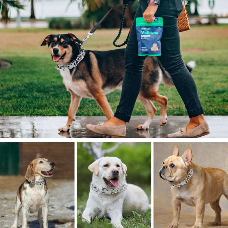 Pinch Collar for Dogs, Prong Training Collar with Quick Release Buckle for Dog Pulling Behavior Correction, Adjustable Pinch Leashes (XL / 23-26" Neck Size) XL / 23-26" Neck Size