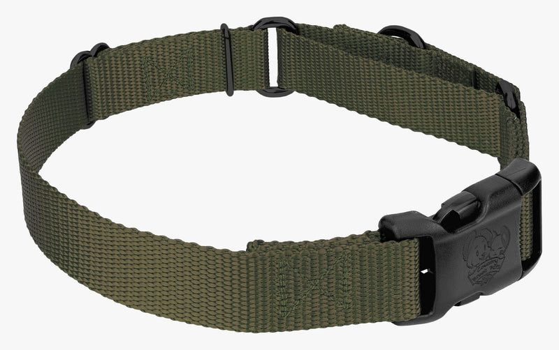 Country Brook Petz Heavy Duty Nylon Adjustable Martingale Dog Collar with Deluxe Buckle for Small Medium Large Breeds - 30+ Vibrant Color Options (1 Inch, Medium, Dark Olive Drab) Medium (Pack of 1) - PawsPlanet Australia
