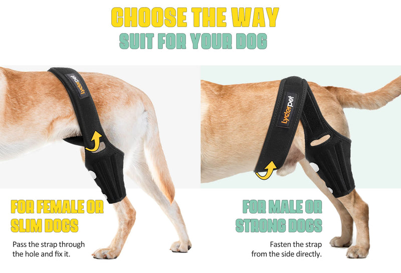 Dog Knee Brace for Torn ACL Hind Leg, Rear Leg Cruciate Ligament Braces for Dogs, Strong Support to Reduce Joint Pain and Muscle Sore, with Side Stabilizers for Back Leg XXSmall XX-Small - PawsPlanet Australia