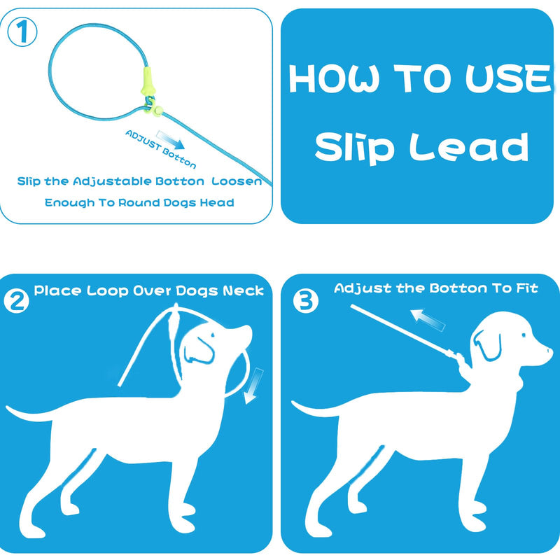 Small Medium Large Dog Training Slip Lead Leash 6Ft No Pull Puppy Leash 8 Colors Classic Dog Rope (Blue) one size blue - PawsPlanet Australia