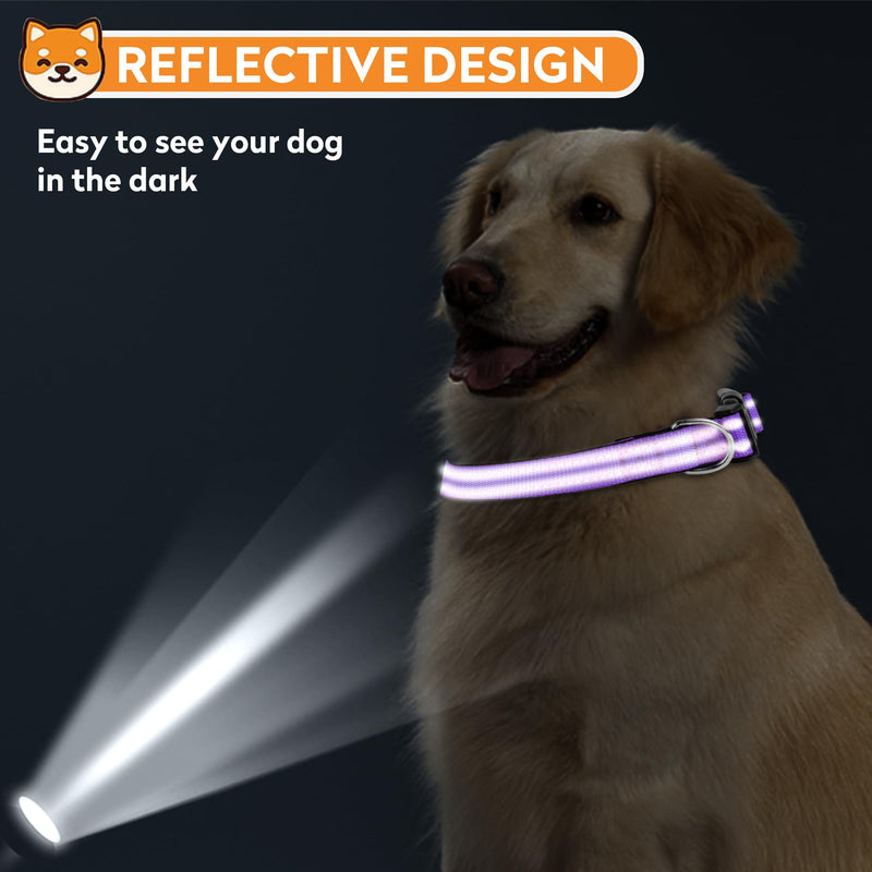 Reflective Dog Collar, Adjustable Soft Neoprene Padded Nylon Pet Collars with Buckle for Puppy and Small Dogs, Cats, Purple,XS - PawsPlanet Australia
