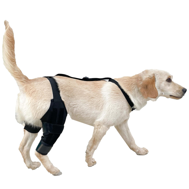 Dog Knee Brace for Hind Leg Support, ACL Recovery & Joint Pain Relief, Adjustable Compression Sleeve with Harness，Universal for Both Left and Right Legs (XS) XS