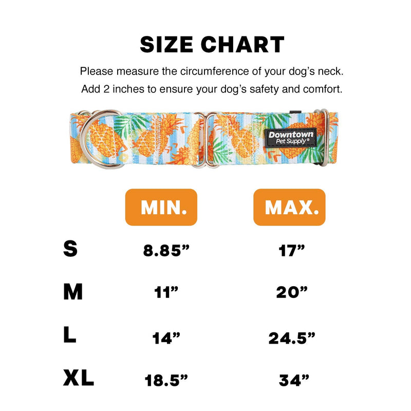 Downtown Pet Supply - Martingale Collar for Dogs - Dog Training Collar - Big, Wide & Thick Dog Collar - Escape-Proof, Weatherproof, Durable and Comfortable - Pineapple - Medium Dog Collar Medium: 11"-20" - PawsPlanet Australia
