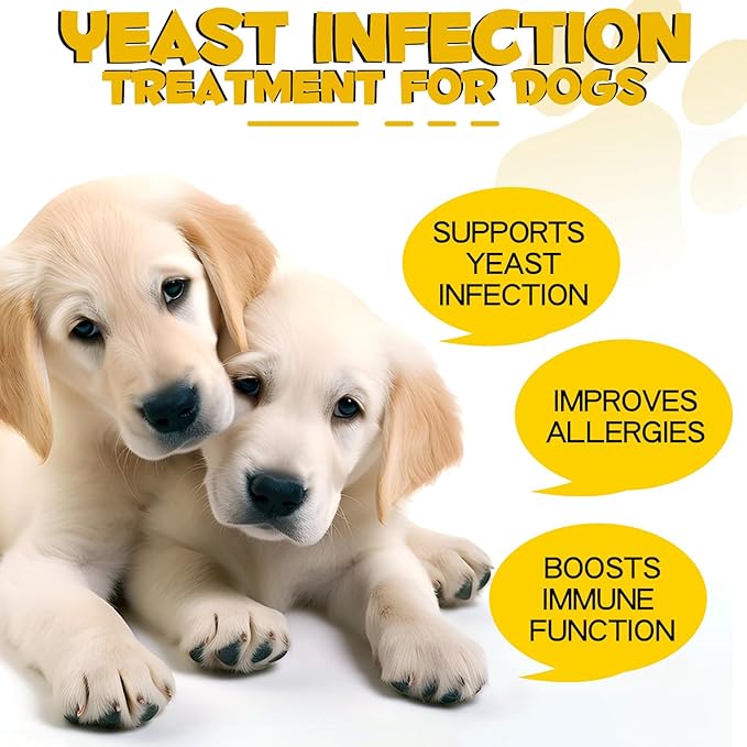 Dog Allergy | Dog Ear Infection | Dog Ear Yeast Infection | Dog Yeast Ear Infection | Dog Yeast Infection | Yeast Infection in Dogs | Natural Composition | 1 Oz - PawsPlanet Australia