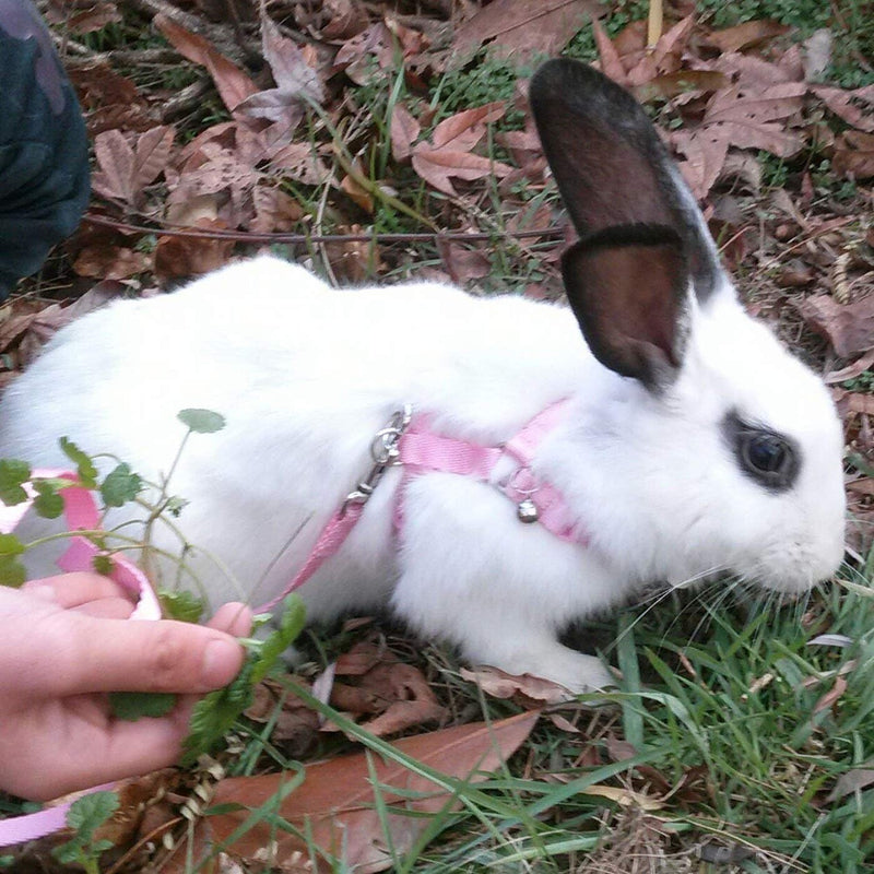 Hypeety Rabbit Bunny Harness with Leash Adjustable Soft Nylon Harness Rabbit Vest Lead Pink Blue Lead Leash All Season for Small Animals (Pink)