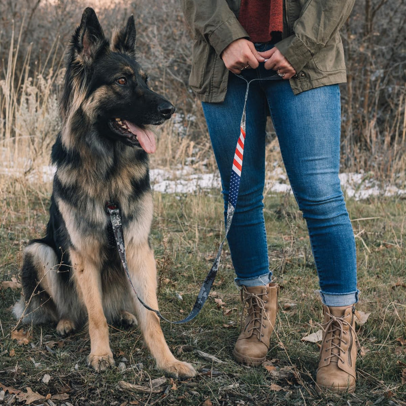 Wolfgang Heavy Duty Dog Leash, Pull-Tested to Over 800 lbs for Walking & Training, DigitalDog Print, Small Small (5/8 Inch x 4 Feet) - PawsPlanet Australia