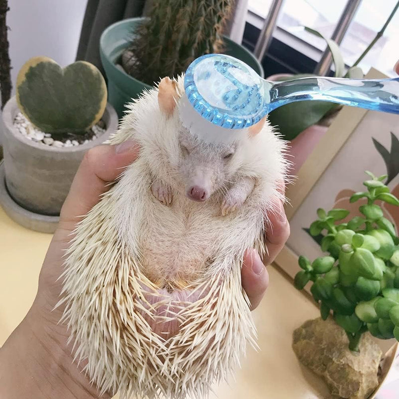 3 Pck Hamster Bath Brush, Reptile Cleaning Supplies,Massage Combs for Hedgehog Turtle blue - PawsPlanet Australia