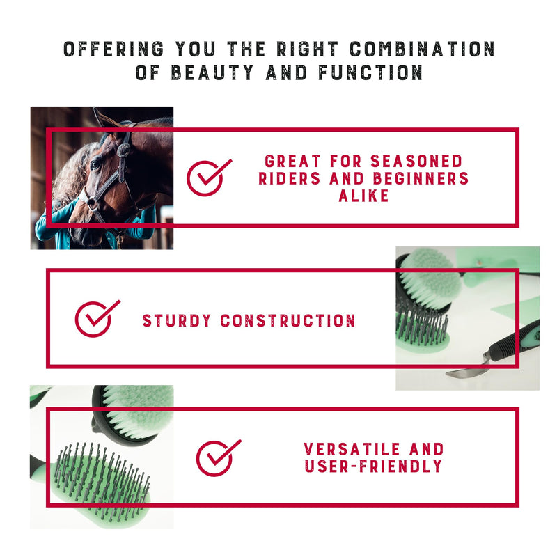 Weaver Equine 6-Piece Horse Grooming Kit, Ergonomic Gentle Horse Care Kit, Equestrian Supplies for Bathing Support, Detangling, and More, Mint/Gray - PawsPlanet Australia