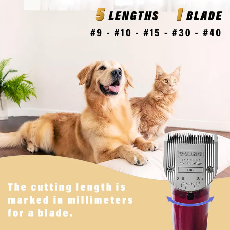 Detachable Adjustable Pet Dog Grooming Clipper 5-in-1 Blade - PawsPlanet Australia