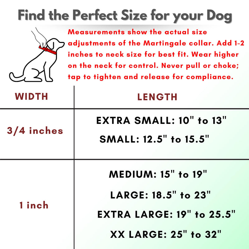Martingale Collar for Dogs, Biothane, Stainless Steel Hardware, No Pull, Made in The USA, Professional Grade. Large, Black - PawsPlanet Australia