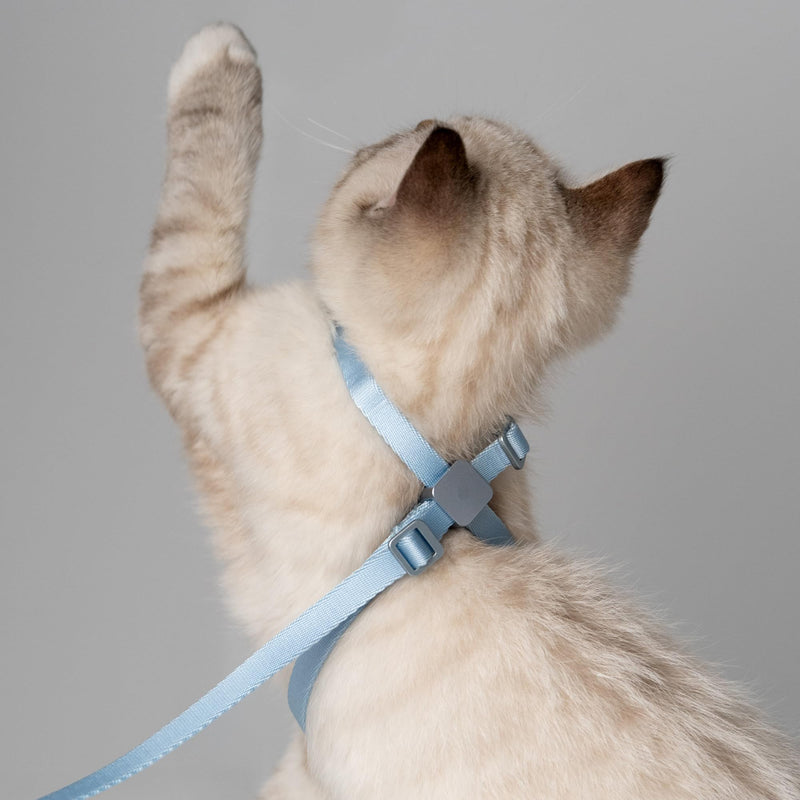 Cat Harness Escape-Proof Anti-Choking Adjustable Nylon Harness Lightweight with Anodized Aluminum Buckle, Ideal for Cats Outdoor Walking and Training, IDA Award (Blush Pink, S (13.8")) S (13.8") Blush Pink - PawsPlanet Australia