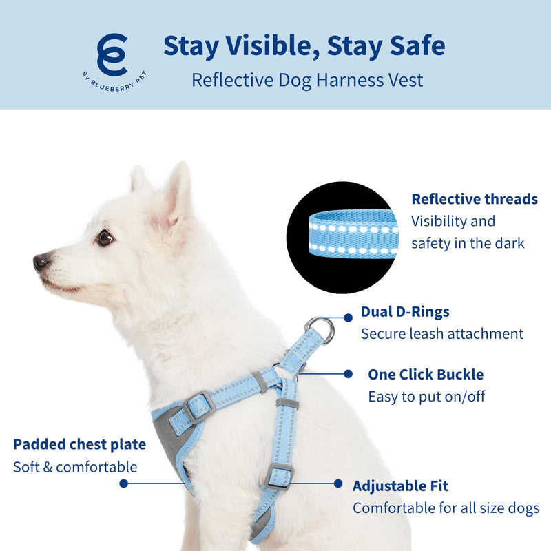 Blueberry Pet Matching Reflective Harness and Leash Set | Adjustable Pastel Vest with Lead for Dogs – Great Value Gift Set | Adjustable Baby Blue Vest for Large Breeds - PawsPlanet Australia