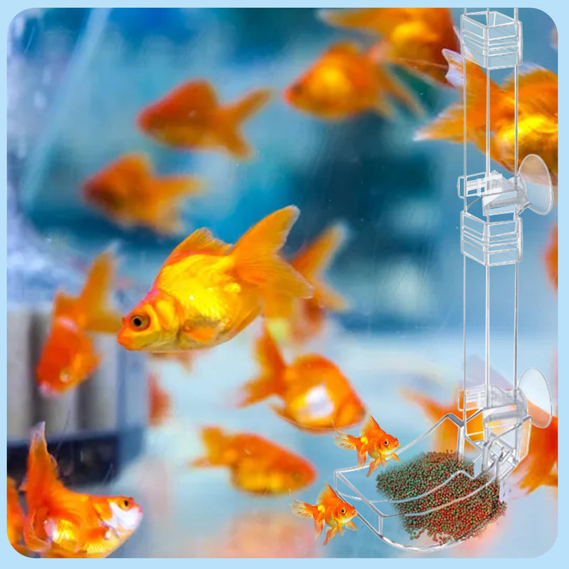 Aquarium Fish Shrimp Feeding Dish Set Clear Fish Feeder Tube and Dish with Cleaning Brush and Measuring Spoon for Feeding Shrimp and Preventing Food Scattering Feeding Supplies for Shrimp Large - PawsPlanet Australia