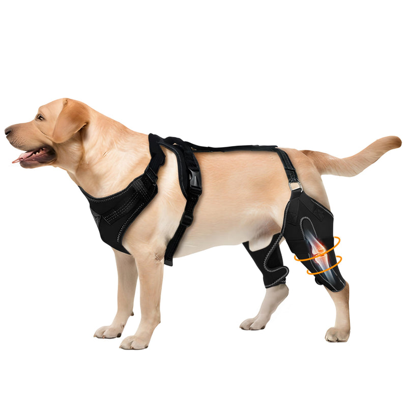 Dog Knee Brace for Rear Leg Support - Adjustable Canine Hinged Back Leg Support Warp with Hip Joint Care Reflective Strap Harness for ACL Arthritis Relief Patellar Luxation Injured Dog (M) M