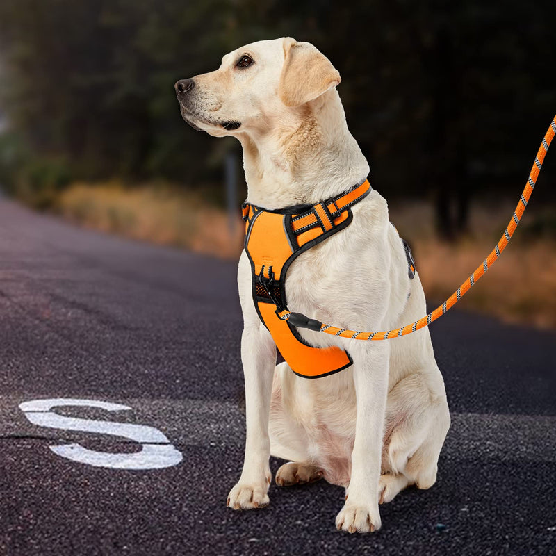IVY&LANE No Pull Dog Harness with Leash Set, Reflective No Choke Pet Vest,Adjustable Oxford Dog Vest Harness with Easy Control Handle for Small Medium Large Dogs X-Small Orange - PawsPlanet Australia