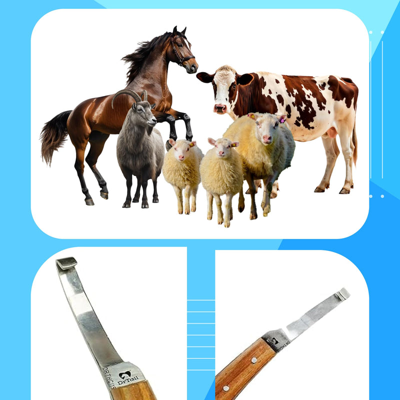 Hoof Knife with Narrow Single Sided Edge Right Hand Farrier Tool for Horses and Livestock – Premium Stainless Steel Hoof Trimming Knife with Ergonomic Contoured Handle for Better Grip Narrow Blade - RH