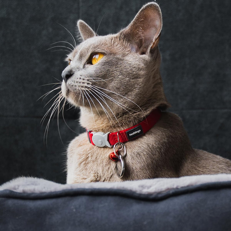 Red Dingo Classic Safety Release Breakaway Premium Cat Collar – Adjustable One Size Fits All with Soft Nylon Webbing, 4.4lb Safety Release Fish Clip, Stainless Steel D-Ring, Wildlife Bell – Pink - PawsPlanet Australia