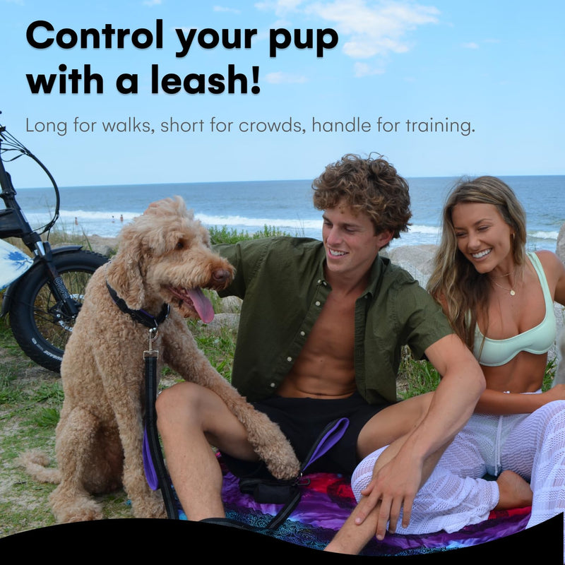 Black Rhino Heavy Duty Dog Leash for Medium and Large Dogs - 6 ft Long Double Handle Leash with Padded Traffic Control Handles and Bag - Reflective, Durable, and Weather Resistant (Burgundy) Burgundy - PawsPlanet Australia