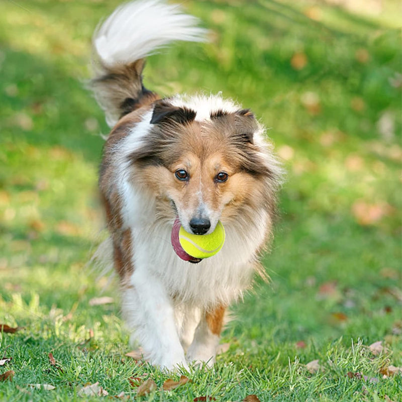 6 Pack Mini Tennis Balls for Pet Playing Fecth, 2 inch Dog Training Tennis Balls for Small Size Dogs, Interactive Dog Playing Balls Fits 2 inch Dog Ball Launchers - PawsPlanet Australia