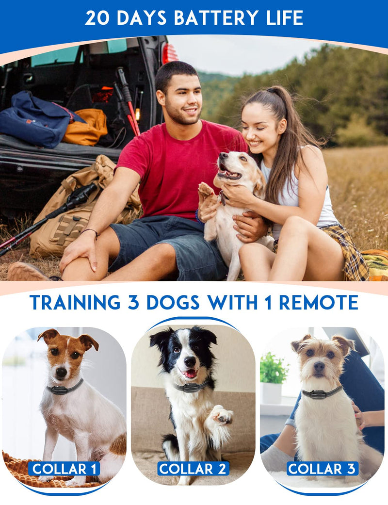PaiPaitek Vibrating Dog Collar No Shock, 3300ft Range Dog Beep Collar with Remote, IPX7 Waterproof Rechargeable No Shock Training Collar for 5-120 lbs All Breeds - No Prongs Orange & Reflective Black - PawsPlanet Australia