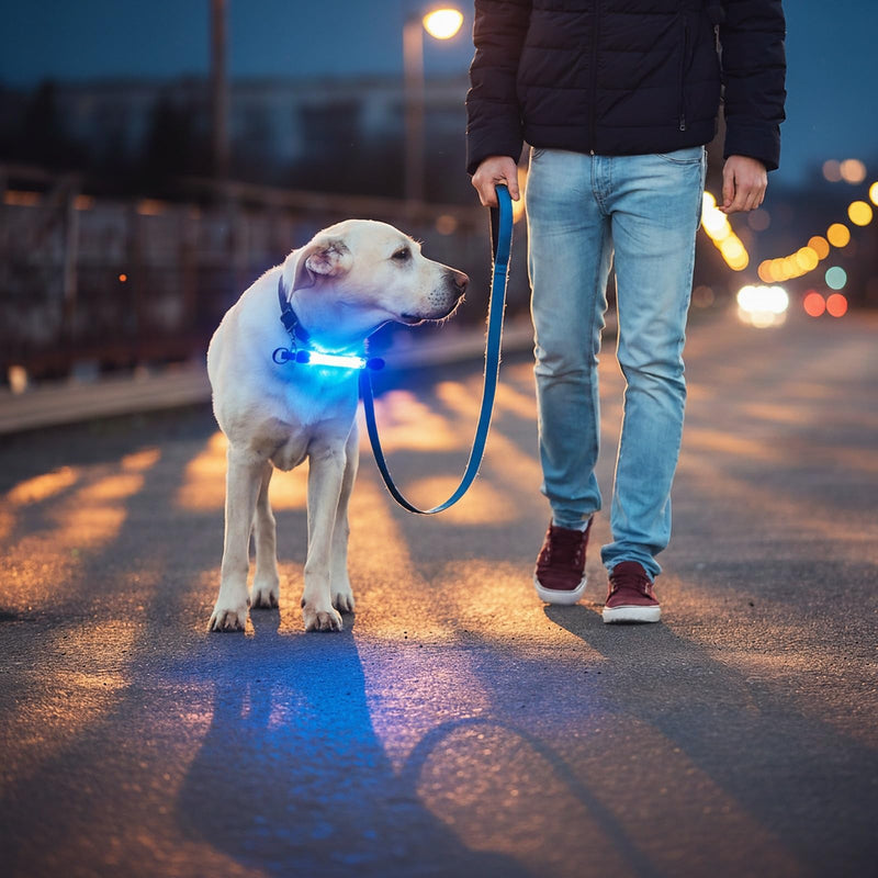 2 Pack LED Light for Dog Leash Harness, USB Rechargeable Light Up Collar with Nylon Stickers, Glow Light Easy to Attach to Collar Leash and Harness, Safety LED Light Up Band for Dogs at Night Walking Dark Blue+Rose Pink - PawsPlanet Australia