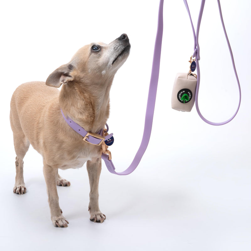 6ft Dog Leash, Dog Collars, Poop Bag Dispenser, & Dog Poop Bag Included. Waterproof Leash for Medium Dogs, with Heavy Duty Nylon PVC. Use as Puppy Collar and Leash (Purple, Medium) Purple - PawsPlanet Australia