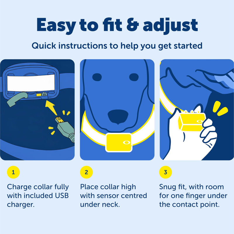 PetSafe Audible Bark Collar - Discourages Excessive Barking - SoundBurst Technology - Waterproof Design - Rechargeable Battery - Fits Dogs Over 8 lbs - Indoor & Outdoor Use
