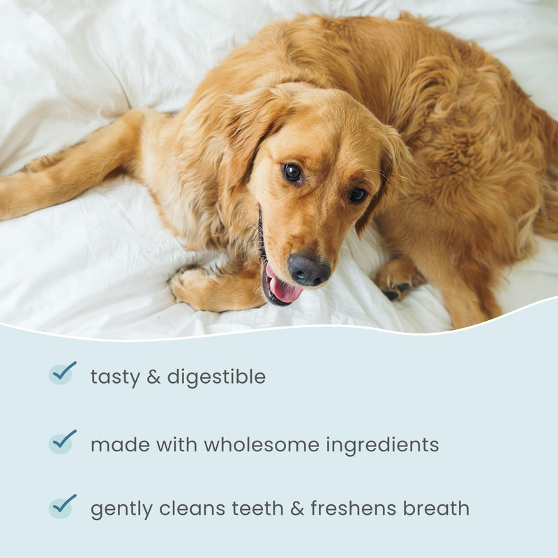Dr. Mercola Bark & Whiskers Dental Chew Bones - Large Dog Oral Care Support - Natural Ingredients - Zinc & Calcium - No Fillers or Artificial Flavors - 12 Bones