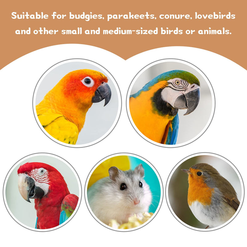9 PCS Natural Wood Bird Perch, Wooden Parrot Perch Stand Bird Cage Branches Platform Accessories for Parakeets Cockatiels Conures Macaws Finches Love Birds 9 - PawsPlanet Australia