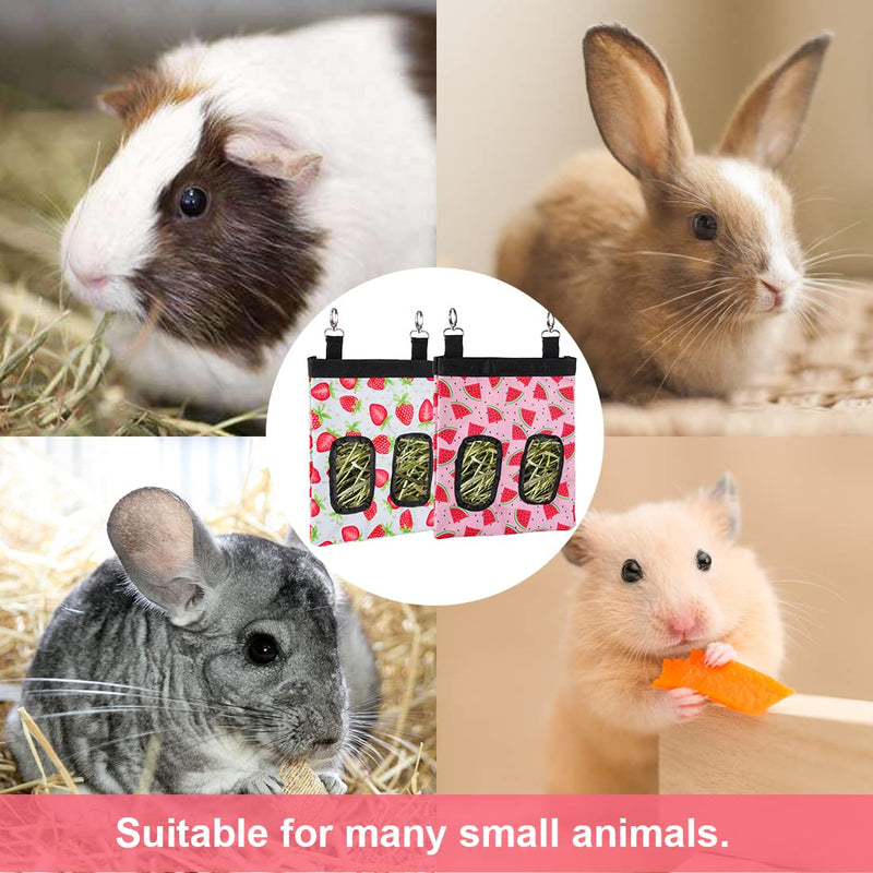 Guinea Pig Hay Feeder, 2 Pack, 11 x 9 x 1 Inches, Stainless Steel, 600D Oxford, Watermelon and Strawberry S -10"x 8"x 2"-A (Watermelon+Strawberry) - PawsPlanet Australia