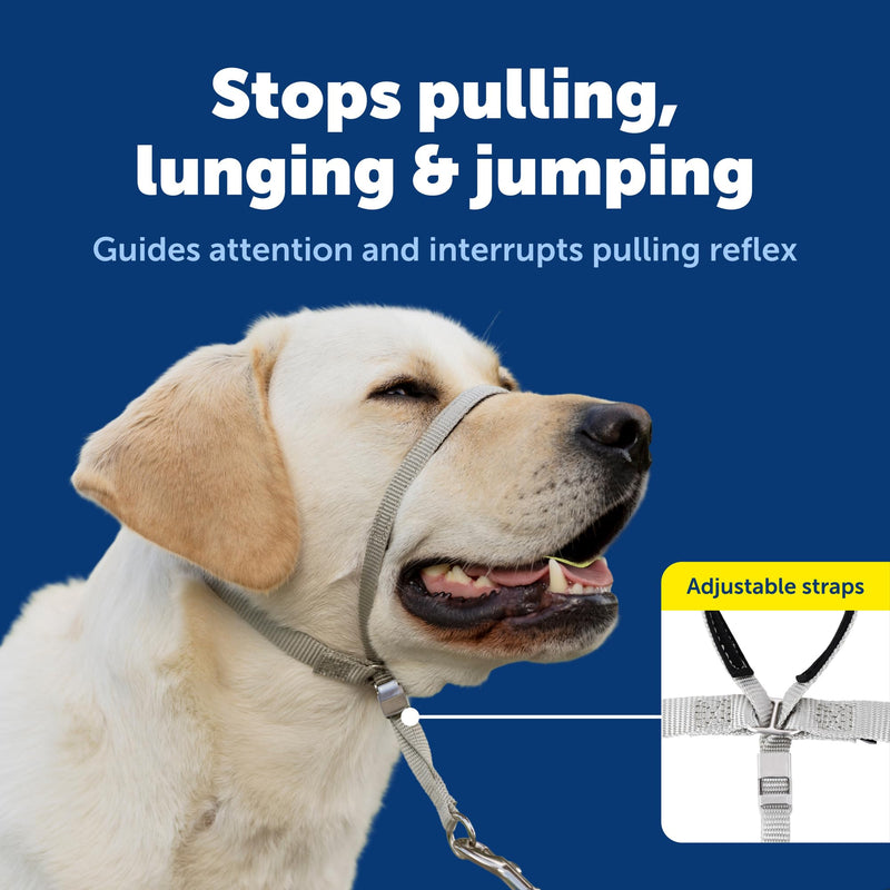 PetSafe Gentle Leader Headcollar, No-Pull Dog Collar – Perfect for Leash & Harness Training – Stops Pets from Pulling and Choking on Walks – Medium, Deep Purple