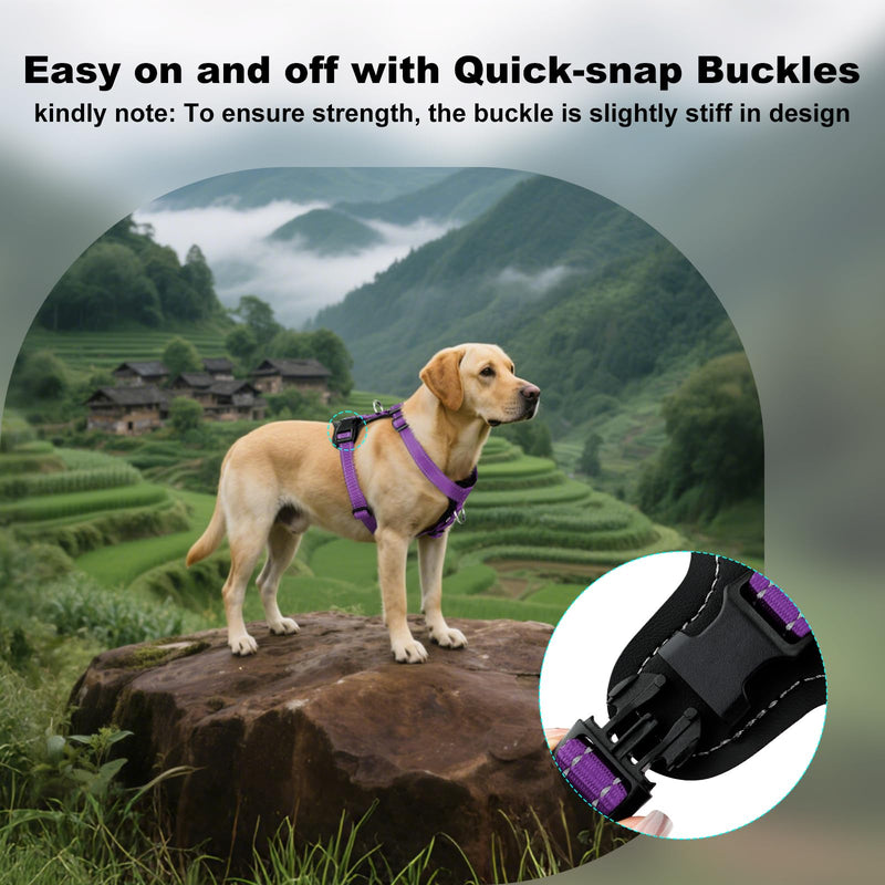 Plutus Pet Adjustable No Pull Dog Harness with Leather Accents, Heavy Duty Reflective Nylon Vest for Training, Hiking, Easy Walk Harness for Small, Medium, Large Dogs (Purple, M) Purple - PawsPlanet Australia
