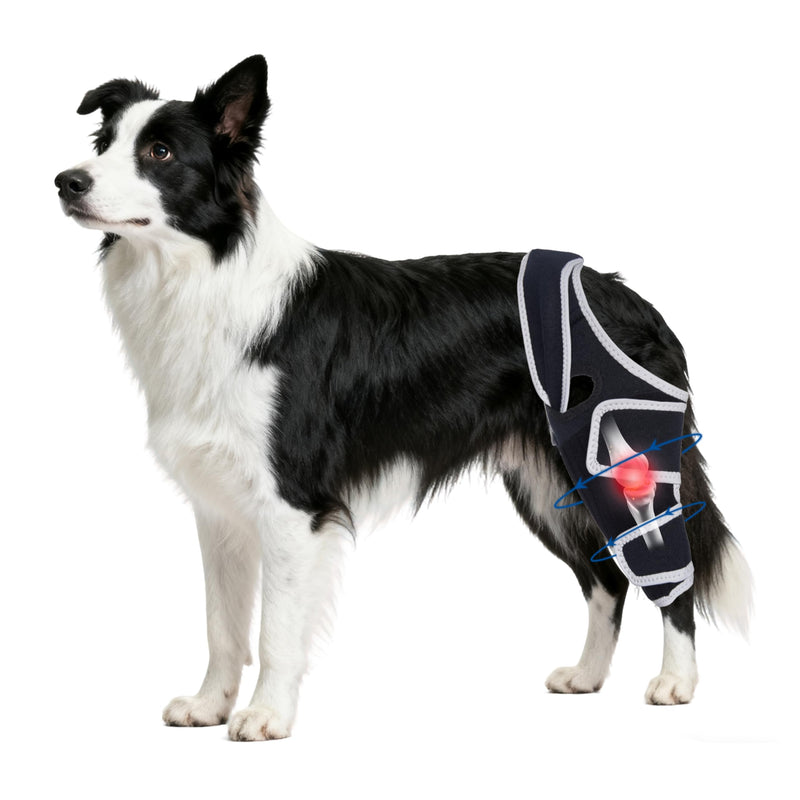 Dog Knee Brace for Torn Acl Hind Leg - Relieves Ligament Injury and Joint Pain, Adjustable Leg Support Bracket for Warmth and Support, Universal Dog Knee Brace for Four Legs,Size L.