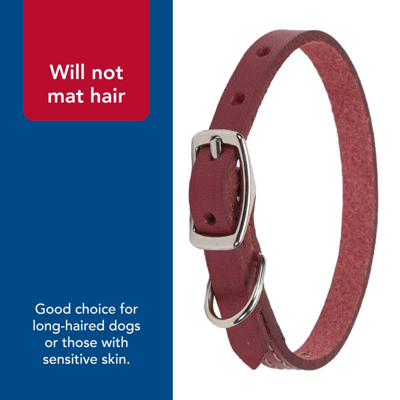 Coastal Pet - Circle T - Oak Tanned Leather Town Dog Collar, Red, 5/8" x 16" - PawsPlanet Australia