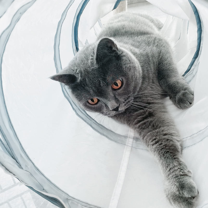 zhl Cat Toys Cat Tunnel and Cat Cube Pop Up Collapsible Kitten Indoor Outdoor Toys-Collapsible 3 Way or 1wayCat Tube- for Cat, Puppy, Kitty, Kitten, Rabbit white - PawsPlanet Australia