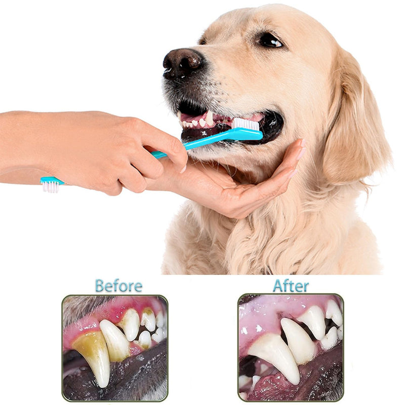 Dog Toothbrush, Finger Toothbrushes, 360 Degree Toothbrush, Triple Head Dog Toothbrushes, Double Head Toothbrush,Cleaning Brushes for Dog Cat Oral Dental Health 9Pack - PawsPlanet Australia