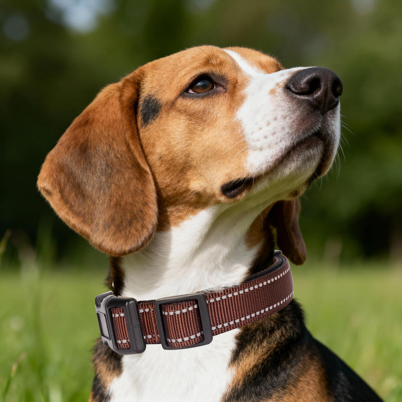 Reflective Martingale Dog Collars. Dog Collar with Quick Release Buckle. Adjustable Soft Padded Breathable Nylon Pet Collar Suitable for Puppies for Small Medium Large Dogs. S:1"Wind for 12.5"-15.5"Neck Coffee - PawsPlanet Australia