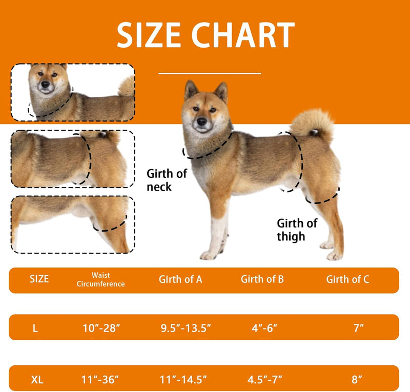 Adjustable Dog Knee Brace with Extra Collar, Support for Torn Acl Hind Leg, Tear Ligament, Osteoarthritis,Rear Leg Limp, Recovery After Surgery,et（Left Leg,XL） Left Leg Extra Large - PawsPlanet Australia