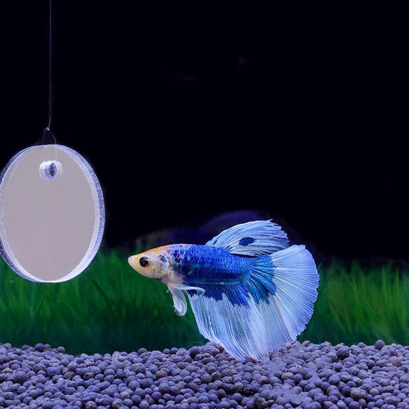 Betta Training Mirror Fish for Tank Fish Out Special for Betta Fitness Mirror Betta Toys for Fish Tank Aquarium Decor (7cm) - PawsPlanet Australia