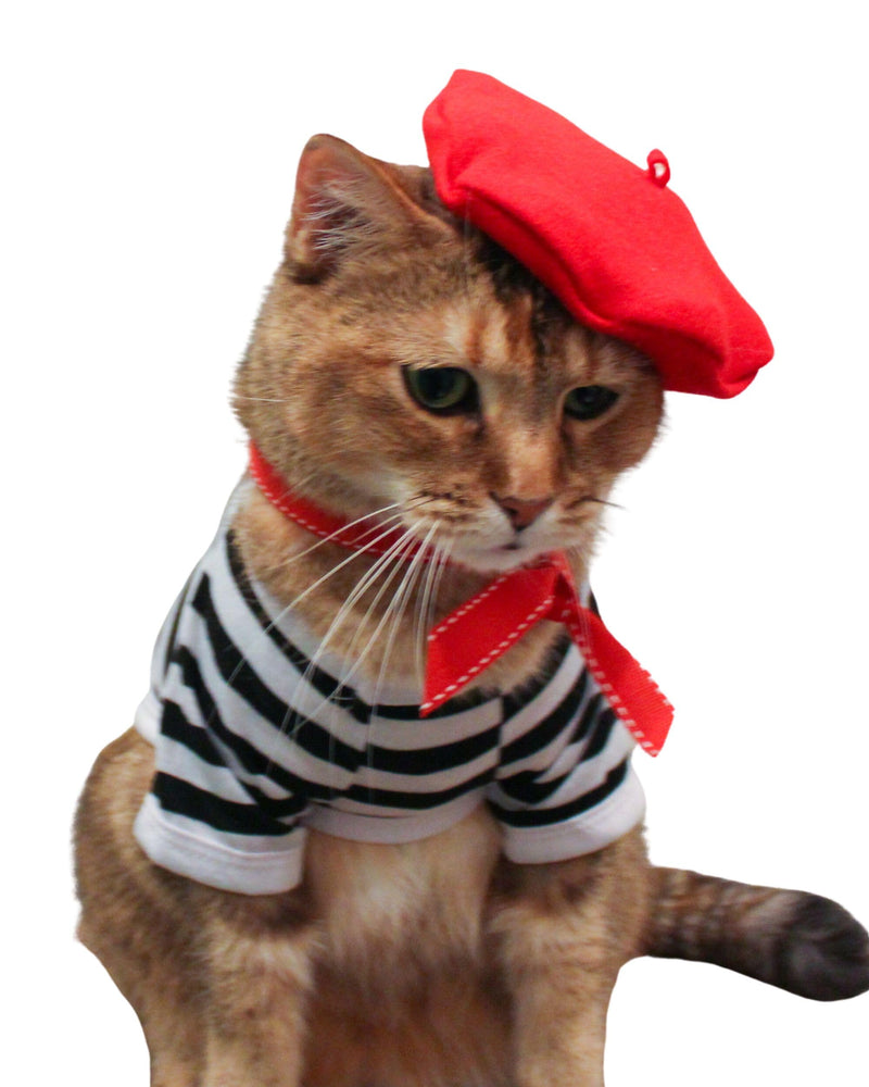 Cat and Human MATCHING berets! Twinning with the feline, with or without full french outfit! (Medium) Medium - PawsPlanet Australia
