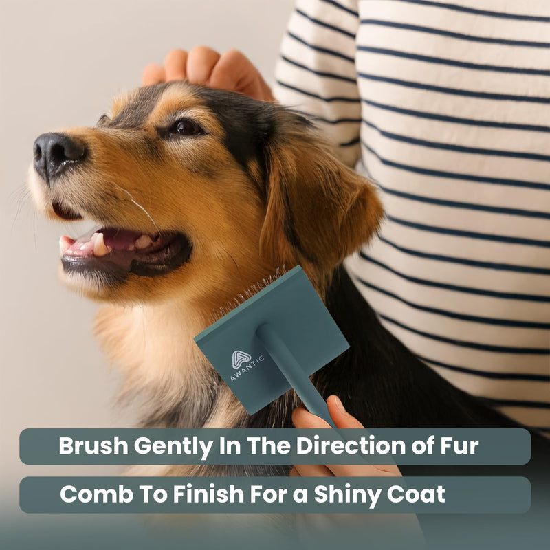 Self- Cleaning Slicker Brush for Dogs Suitable for Short & Long Haired Dogs and Effective Deshedding for Pet Grooming, Undercoat Removal, Tangle-Free Fur (Green Brush + Comb) Large - PawsPlanet Australia